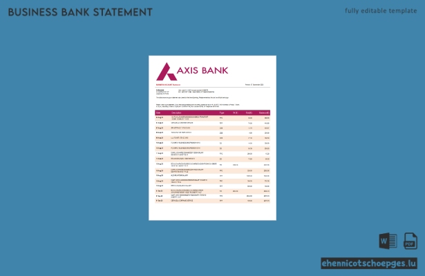 Beispielvorschau für einen Kontoauszug der Axis Bank (Word und PDF)
